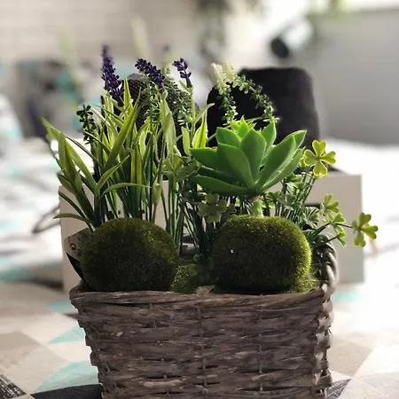 Bunga-love (adults Only) Vendégház