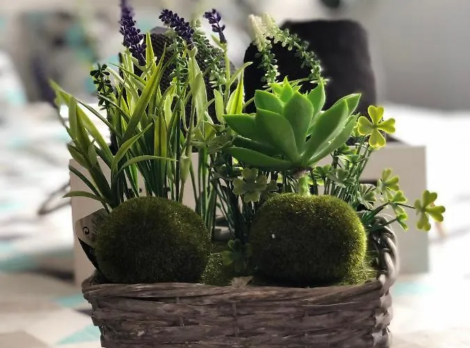 Bunga-love (adults Only) Vendégház